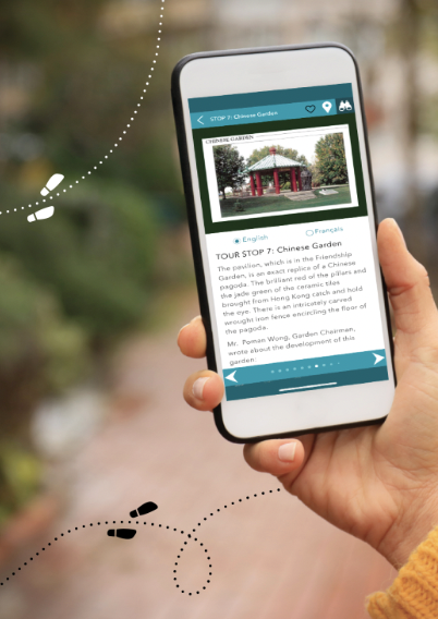 Driftscape Walking Tours