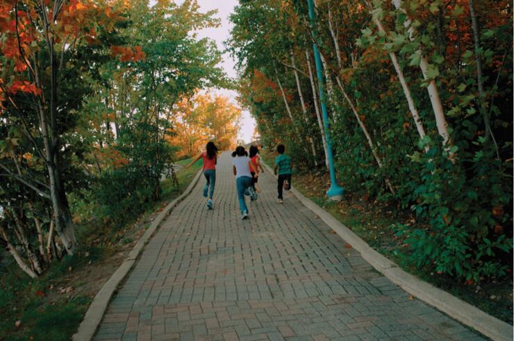a group of kids run down a brick walk through thick, colourful autumn trees.