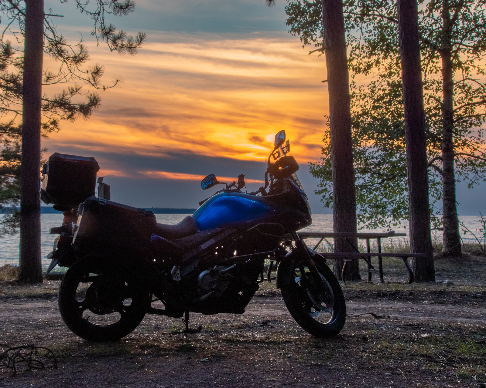 a motorcycle parked on a beach under some tall pine trees next to Lake Superior, an orange sunset gleaming off the water and illuminating the clouds that marble the sky.