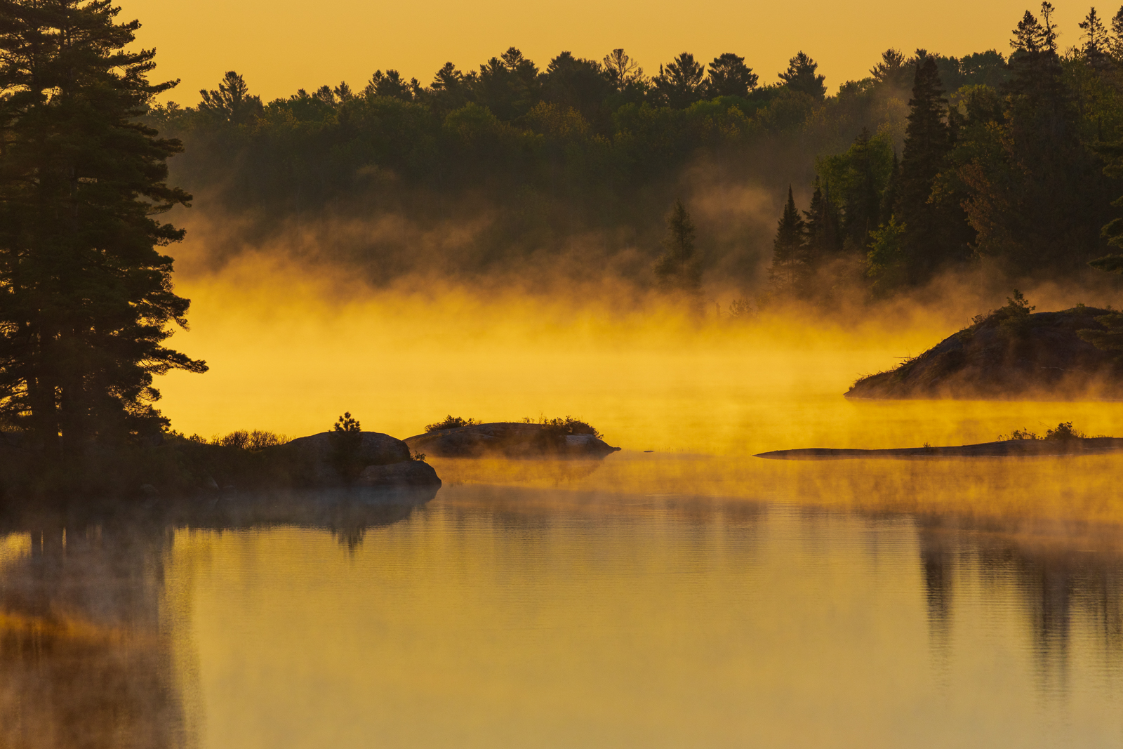 a glassy lake covered in mist that snakes over the water and through the dark forest on the opposite bank, all lit by a golden sunrise.