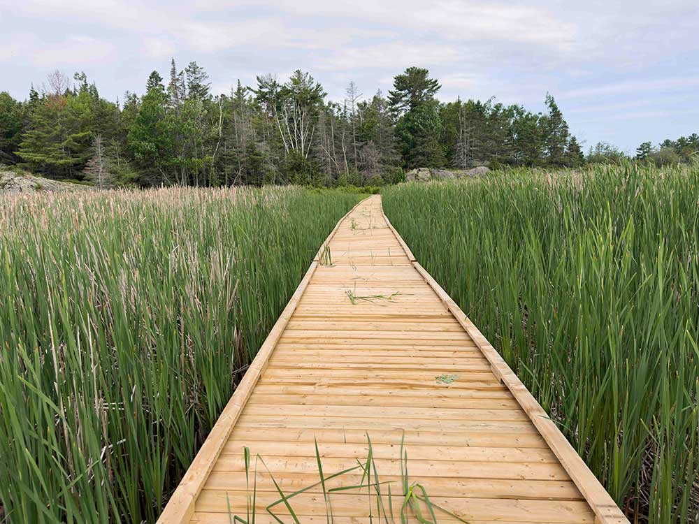 coasttrail-thessalon