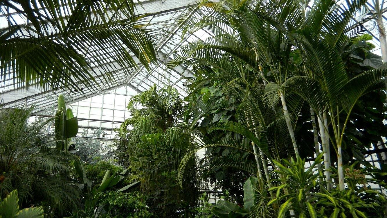 conservatory