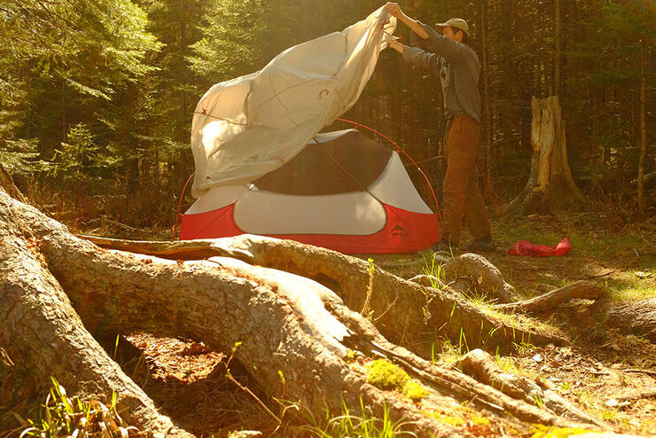 A camper sets up a tent in a thick wooded area under golden sunshine.