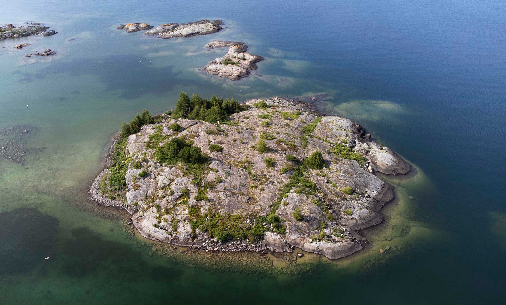 lakehuron-Sofie-Sharom