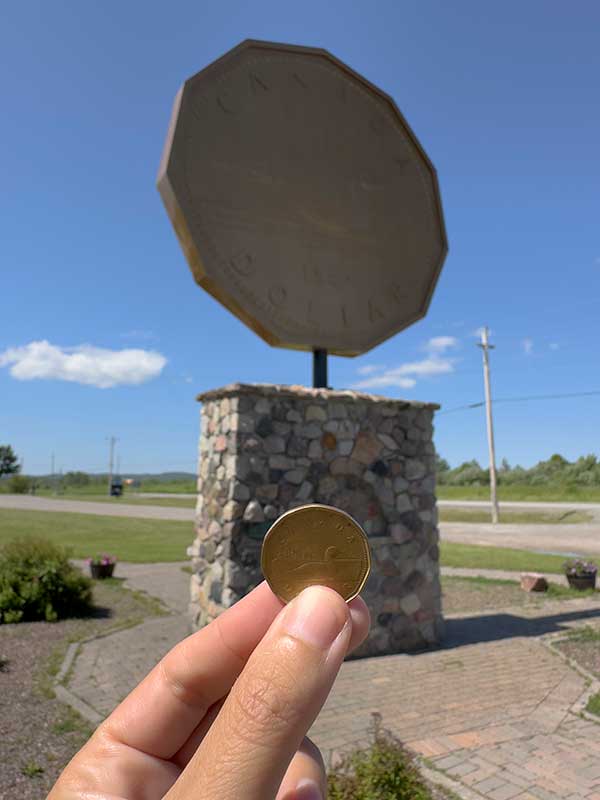 loonie