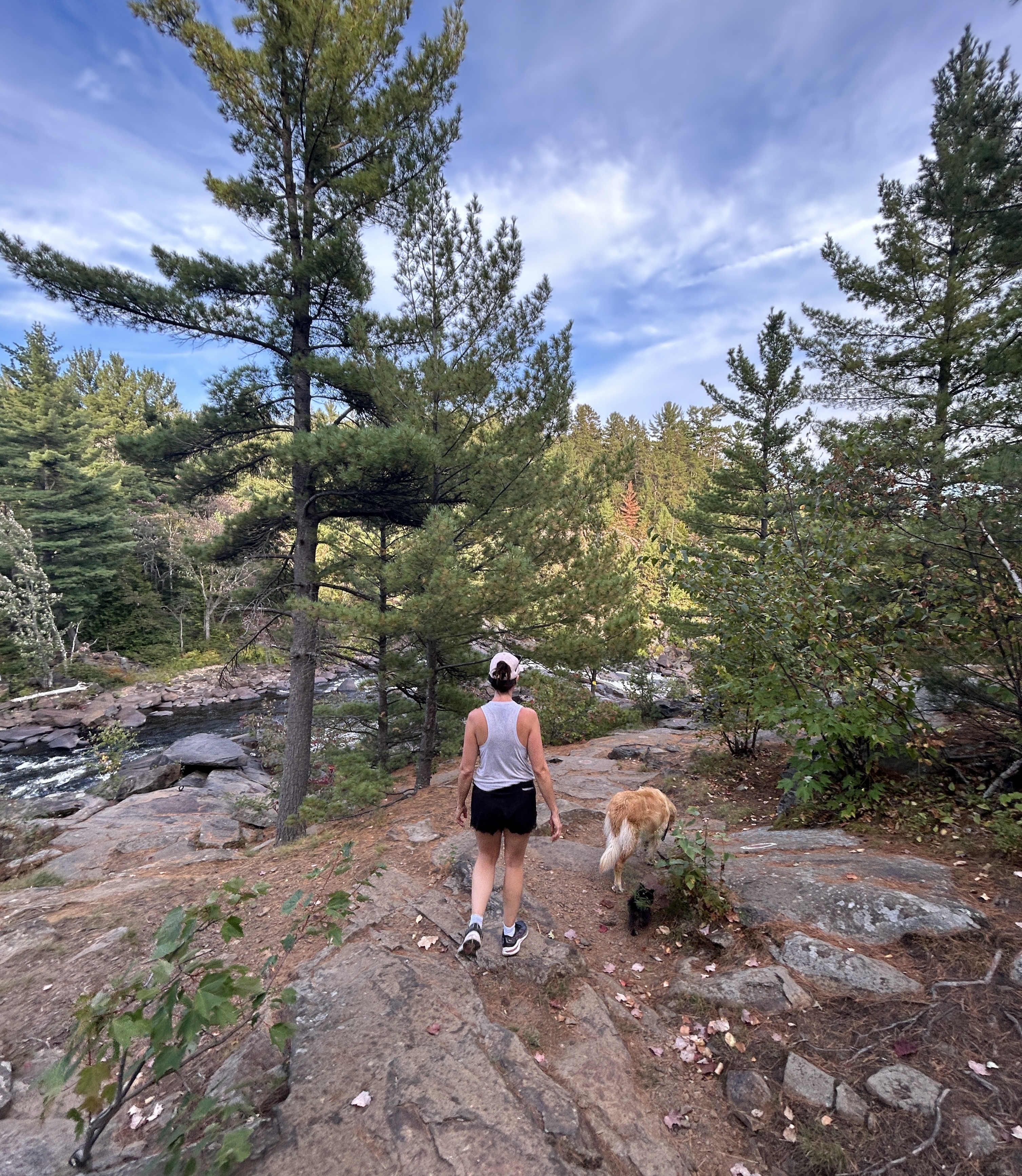 Hiker with dog on rocky trail