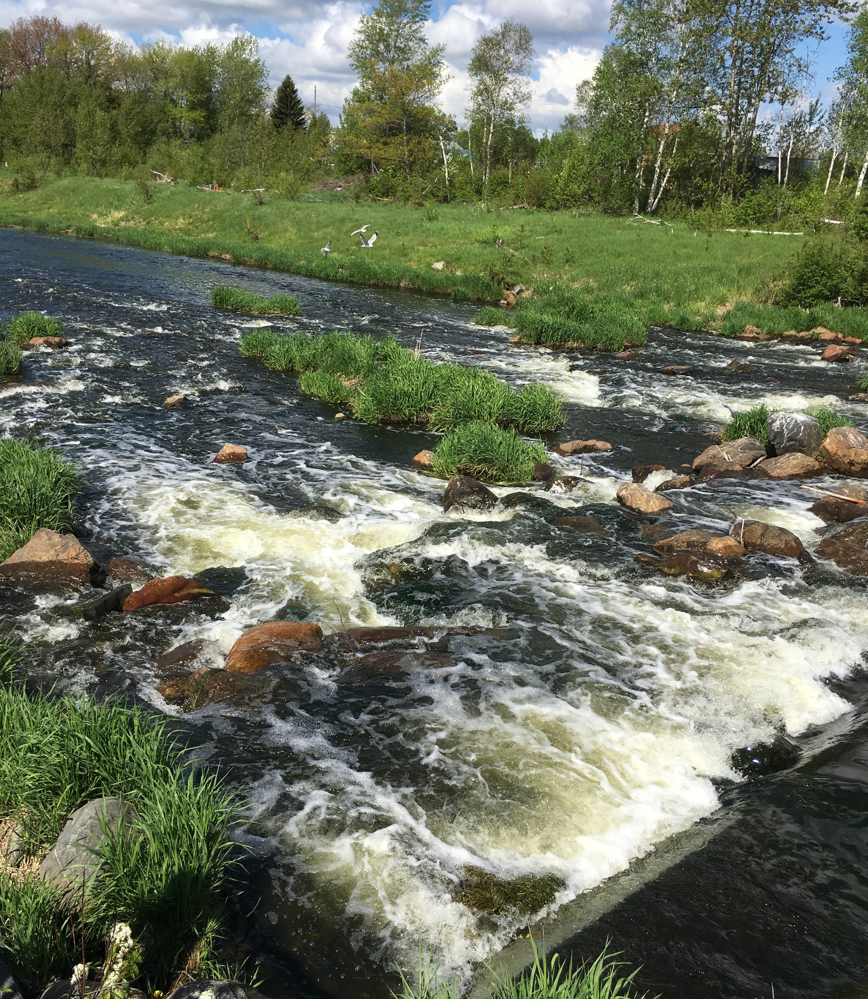 Fielding park chutes