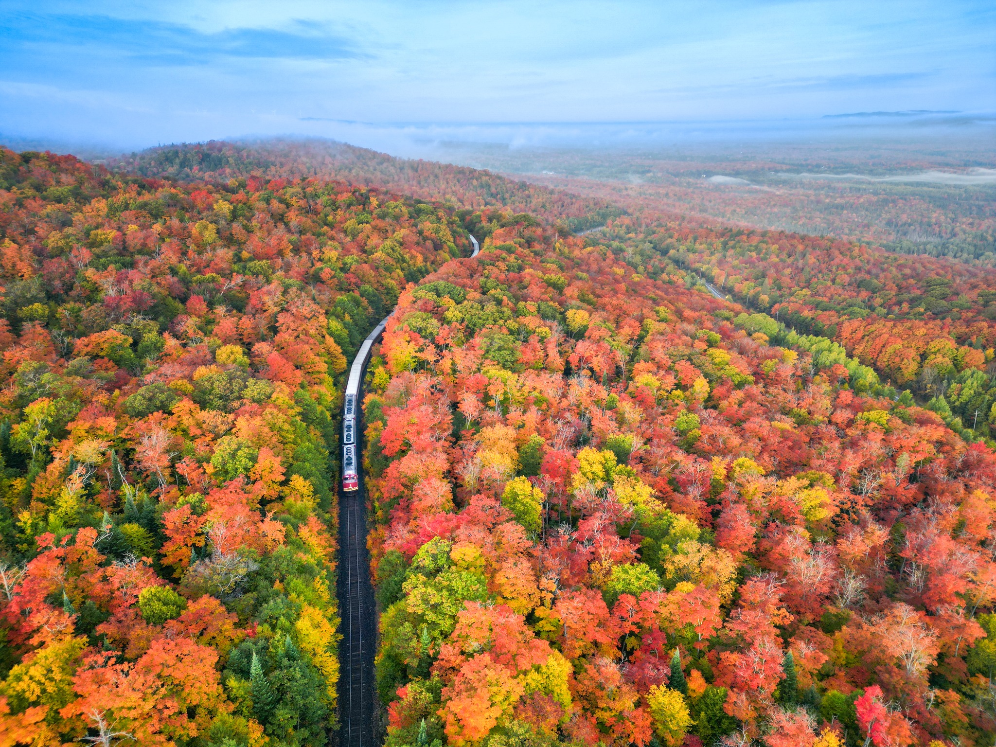 The Agawa Tour Train cuts a narrow path through a fiery display of red, orange, yellow and green autumn trees in all directions under a powdery blue sky.  