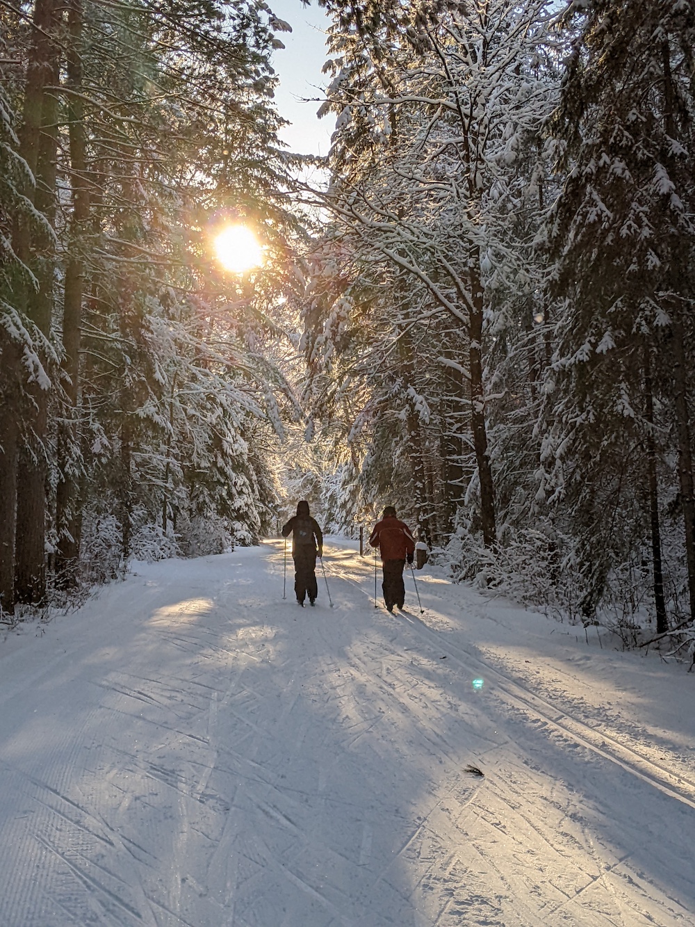 Two people cross country skiing on forested trail