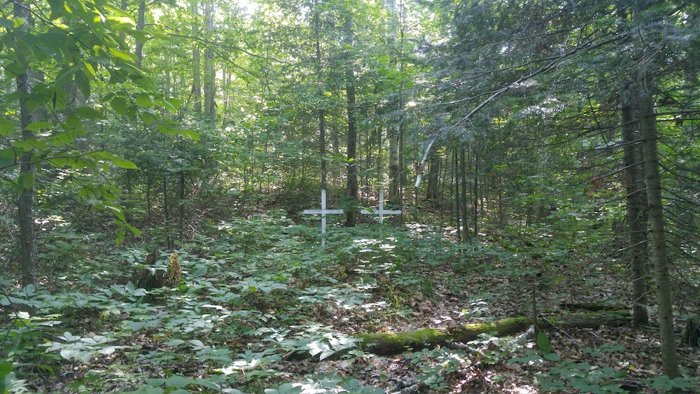 Two white crosses among brambles in the woods