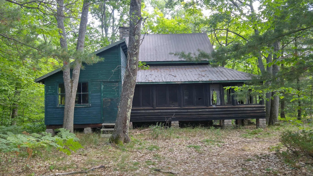 Old green cottage among trees