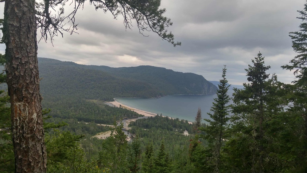 Lookout through trees to lake down below