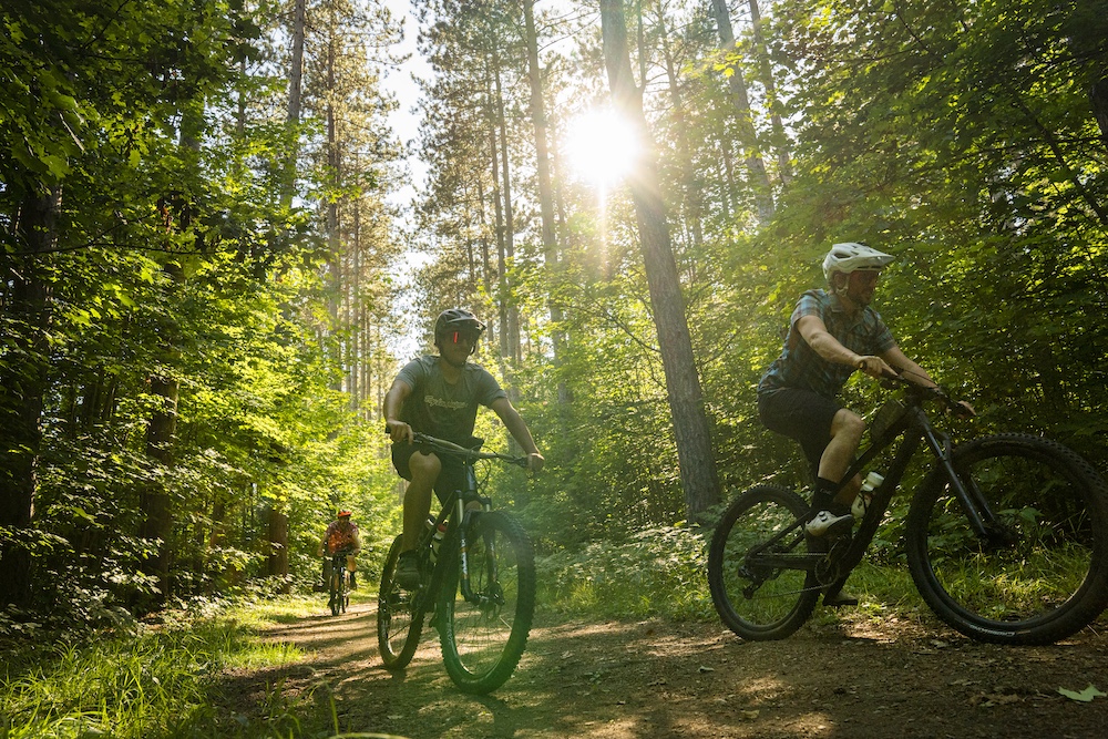 People mountain biking through the forest