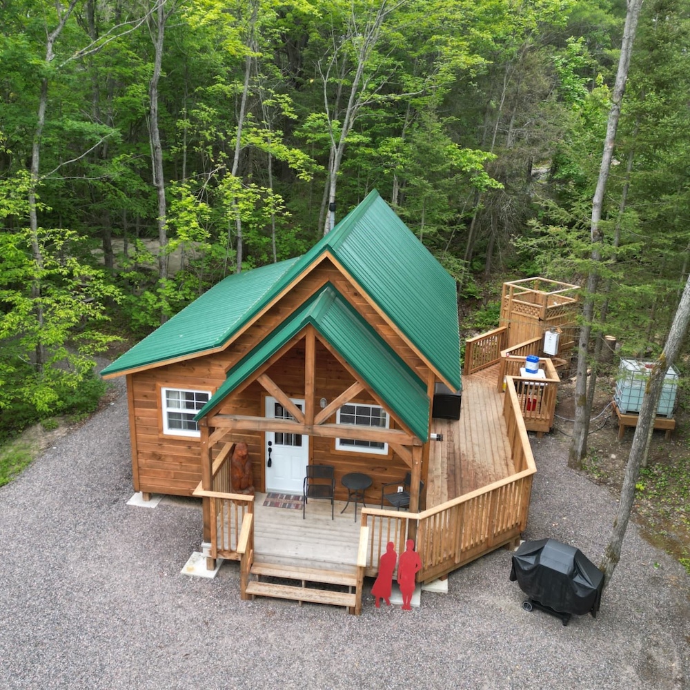 Log cabin from above