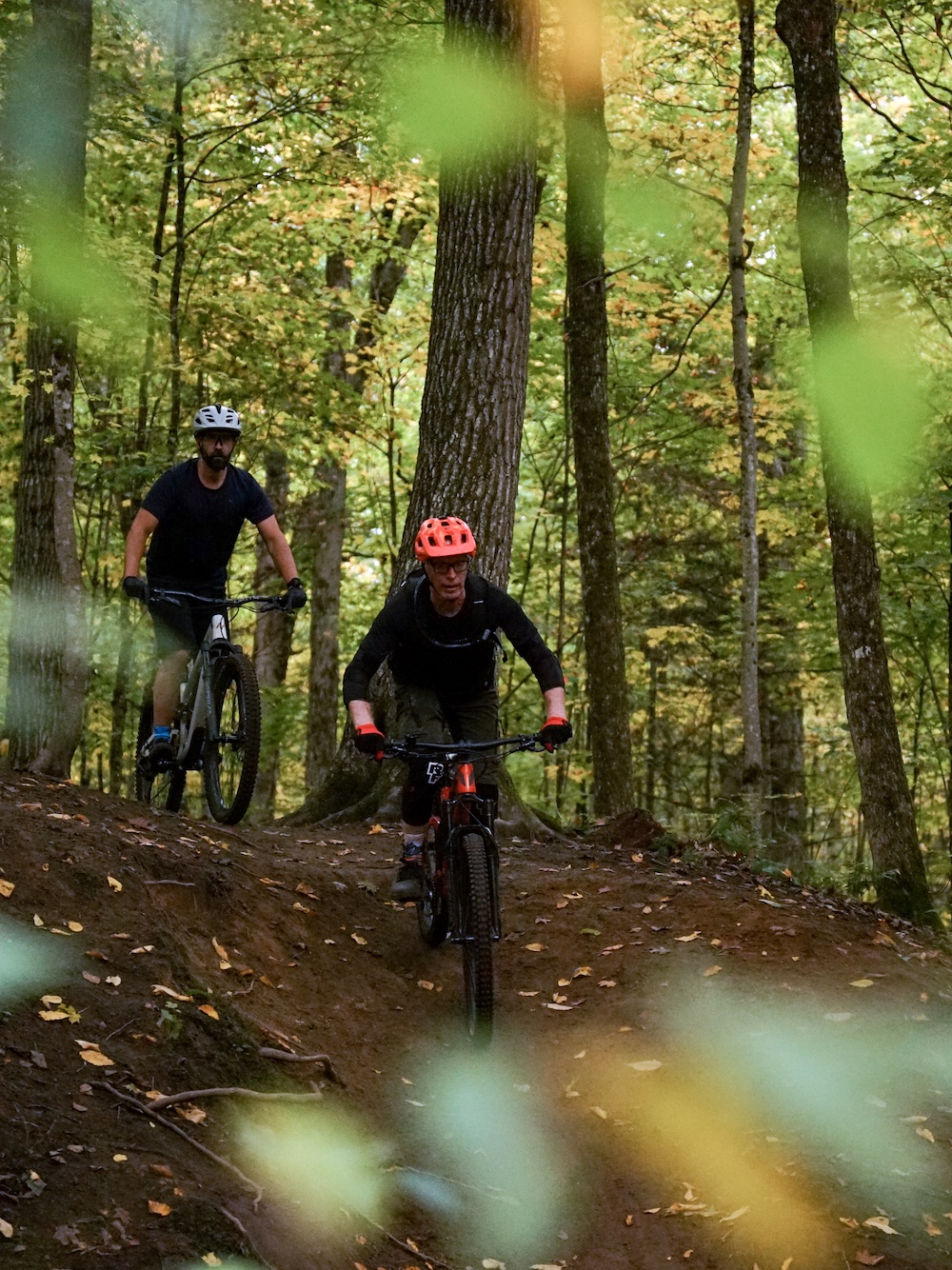 Two mountain bikers on a dirt trail in the forest