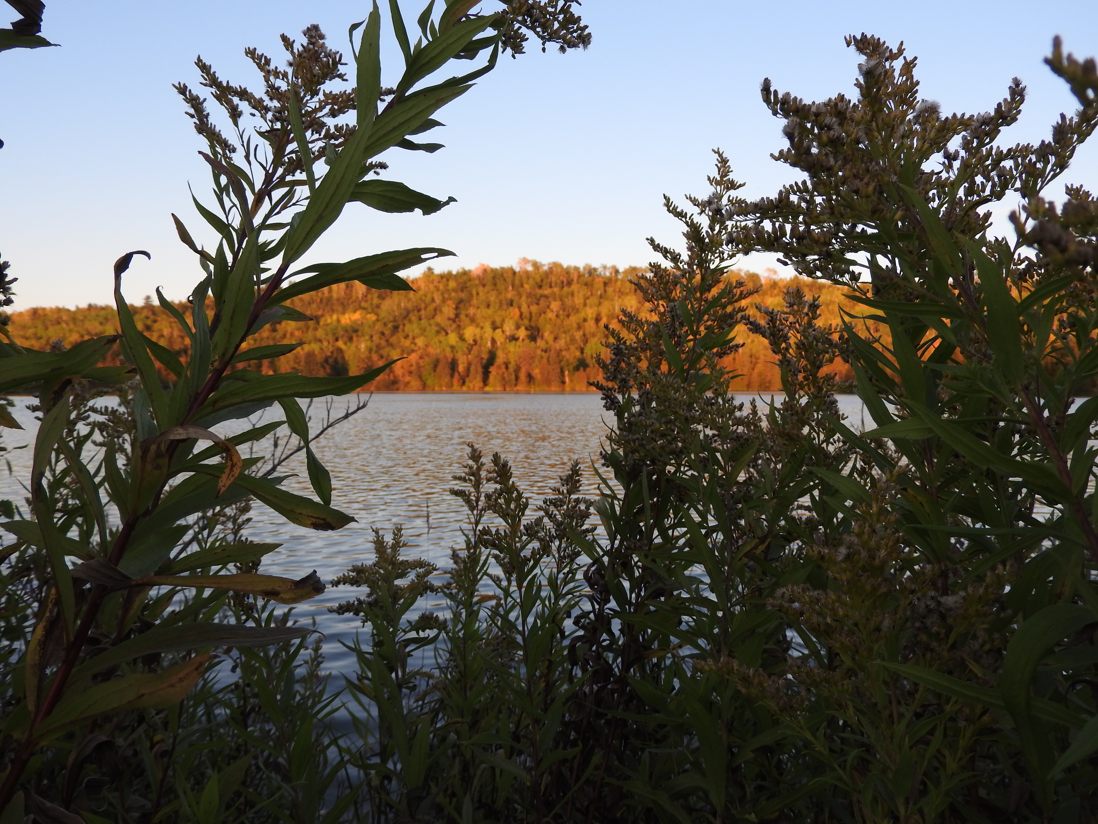 Nipigon Marina Scenery