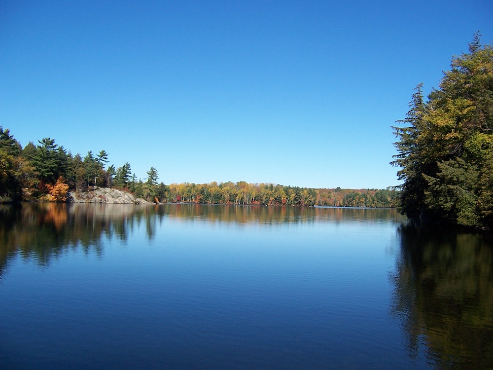 Fall colours around a lake