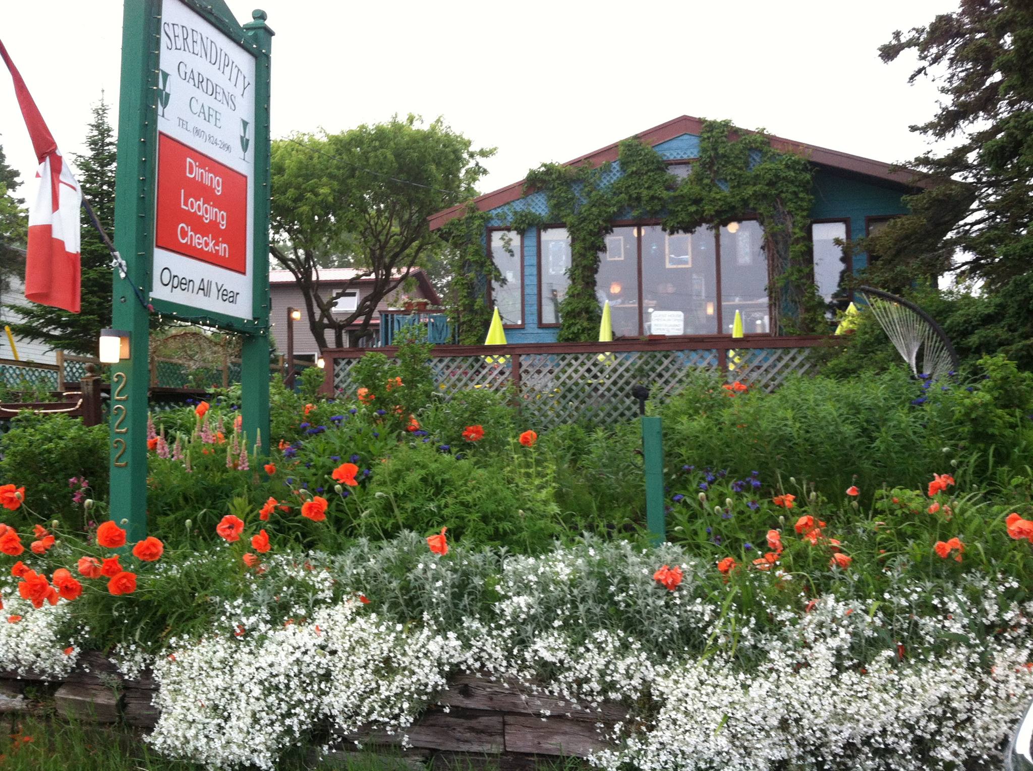 Serendipity Gardens Cafe - Rossport