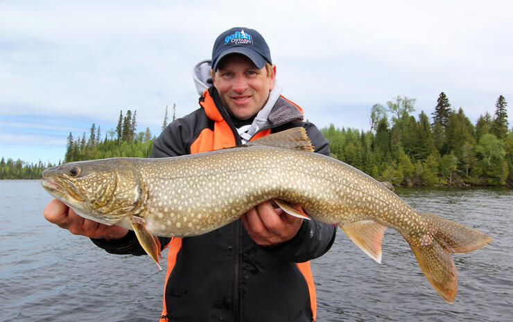 lake trout