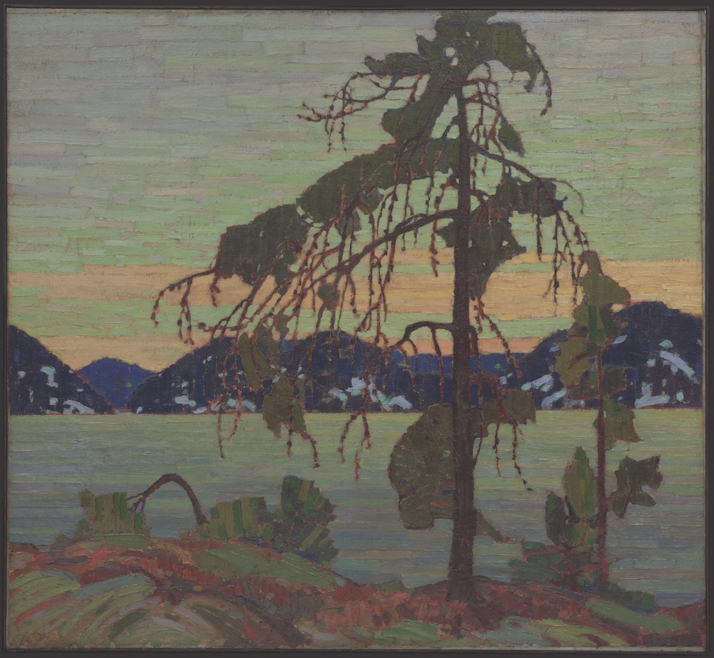 Jack Pine painting by Tom Thomson