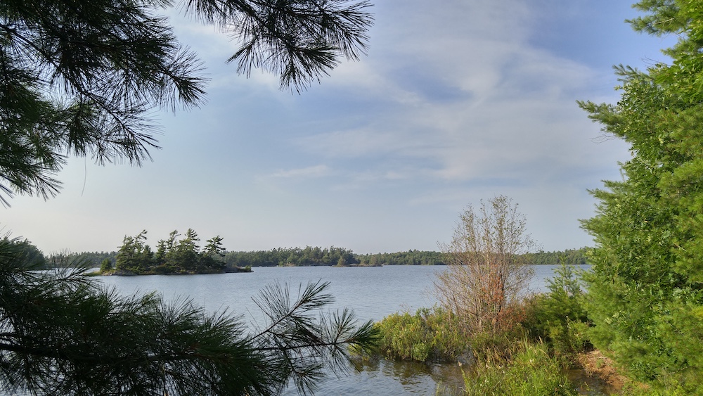 An island with windswept pines on Georgian Bay