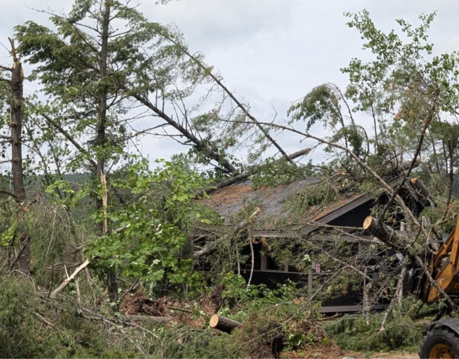 a wooden cabin at the Canadian Ecology Centre at Samuel de Champlain Provincial Park, near buried in downed, broken trees.