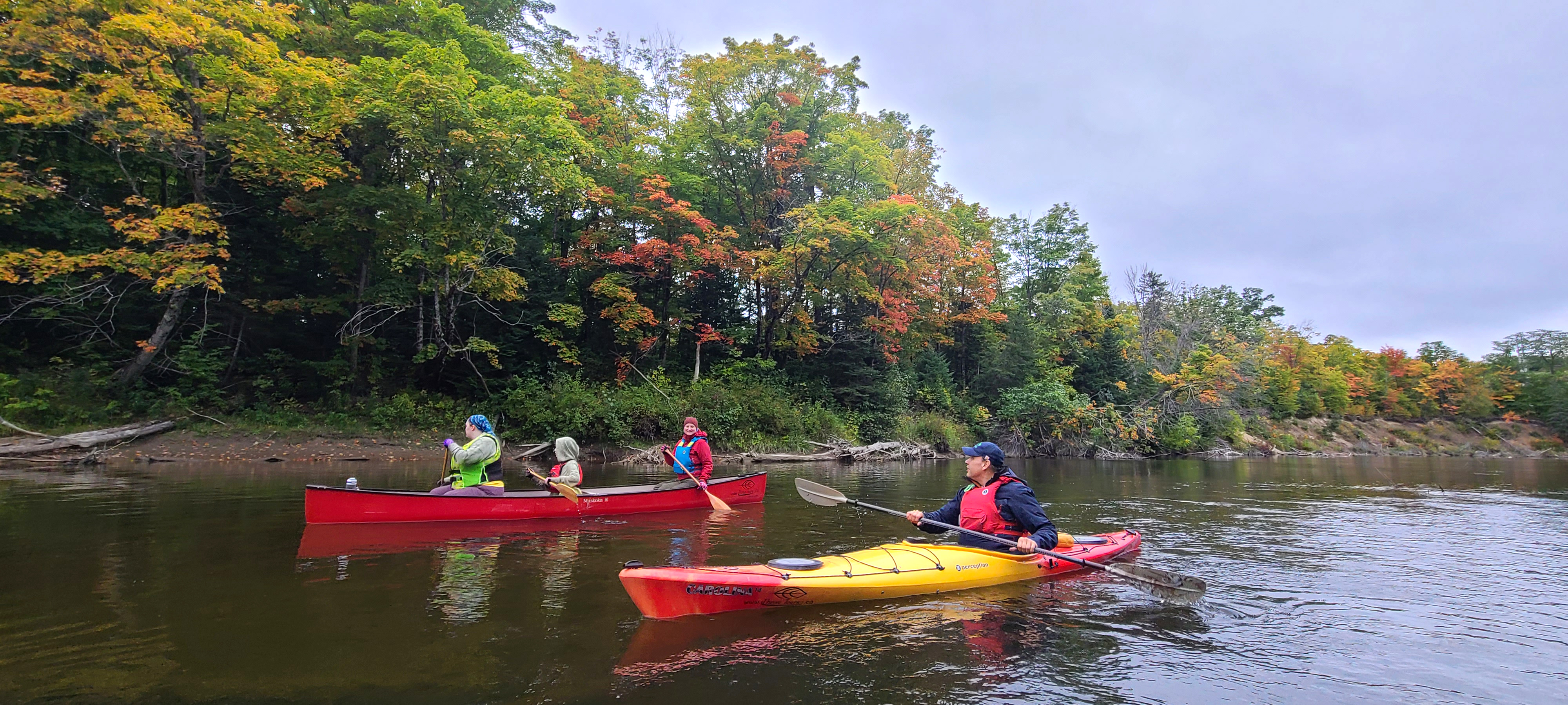 kayakers speak to a Thrive Tours guide as they paddle down a smooth wide river surrounded by colourful autumn trees near Sault Ste. Marie, Ontario.