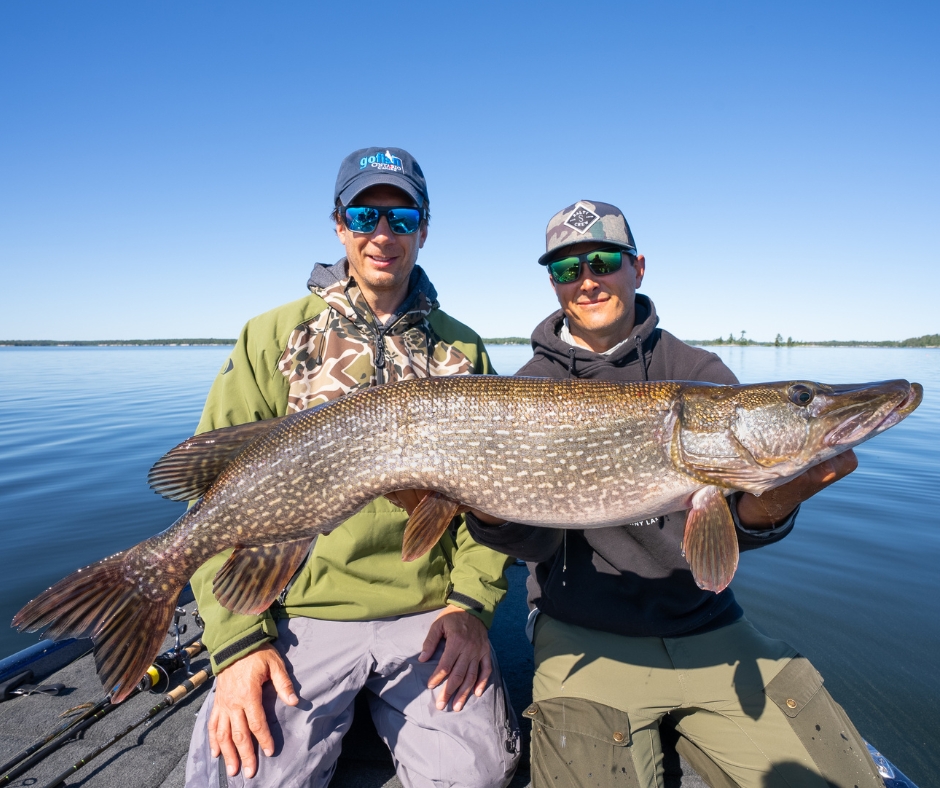 sco pike