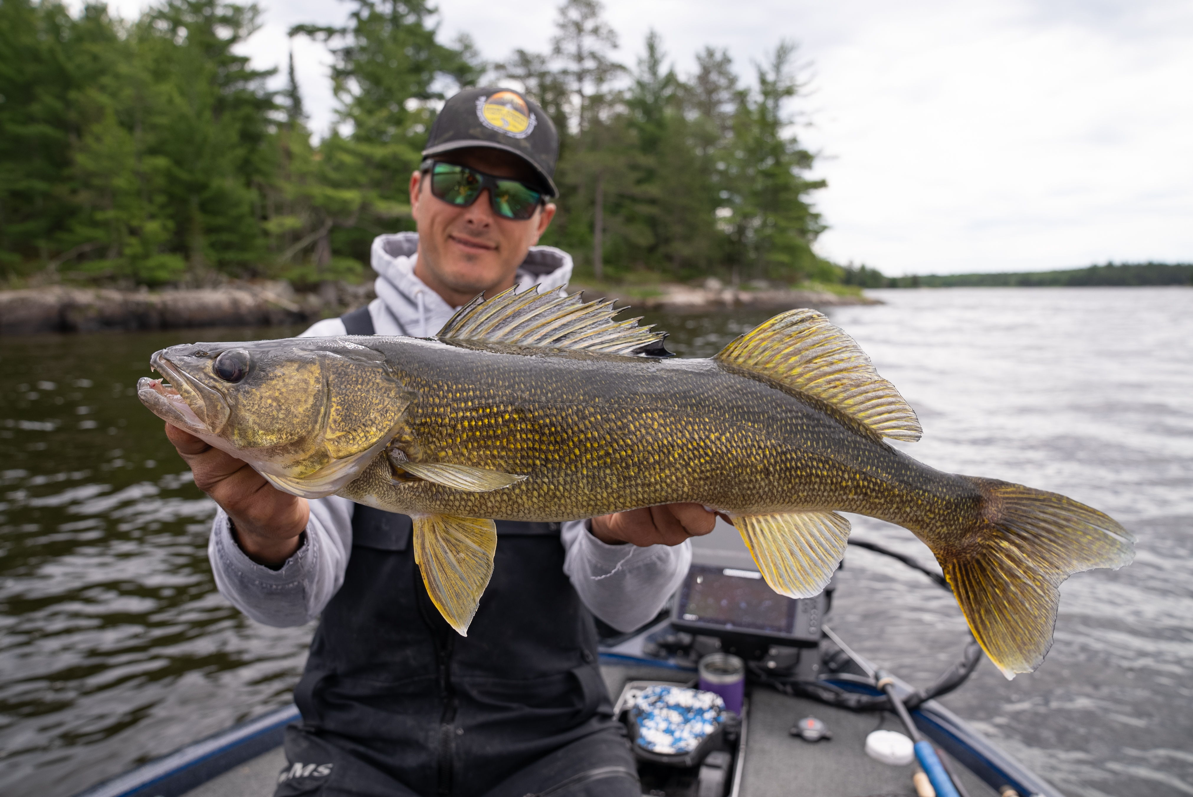 sco walleye