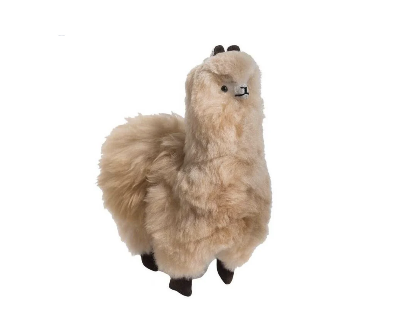 a very fluffy and cute stuffed alpaca from Egli's Sheep Farm.