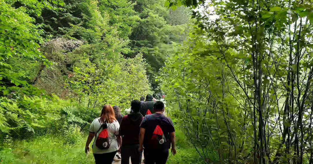 a group of hikers with Walk Among the Trees backpacks on walk through dense, lush green forest at Hiawatha Highlands in Sault Ste Marie.
