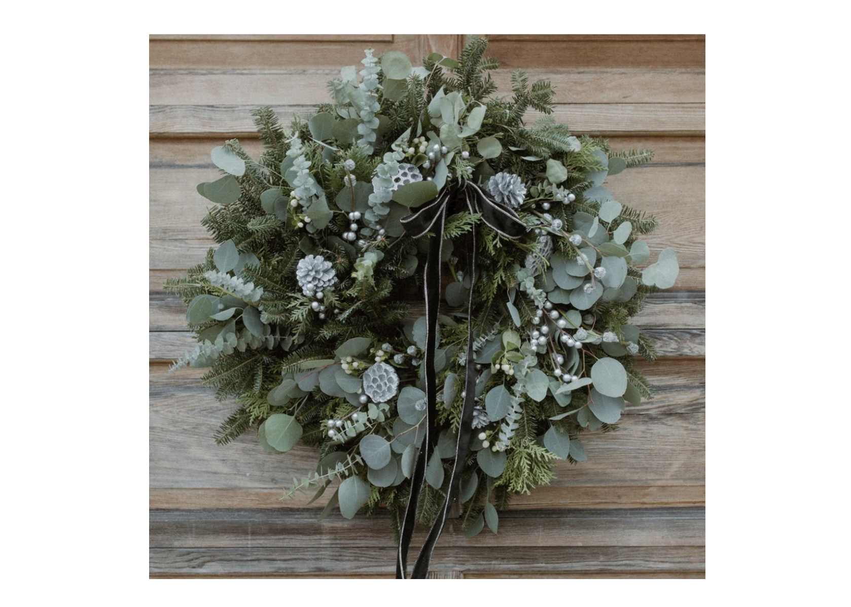 A robust wreath of evergreen boughs accented with light grey-blue eucalyptus sprigs and pine cones.