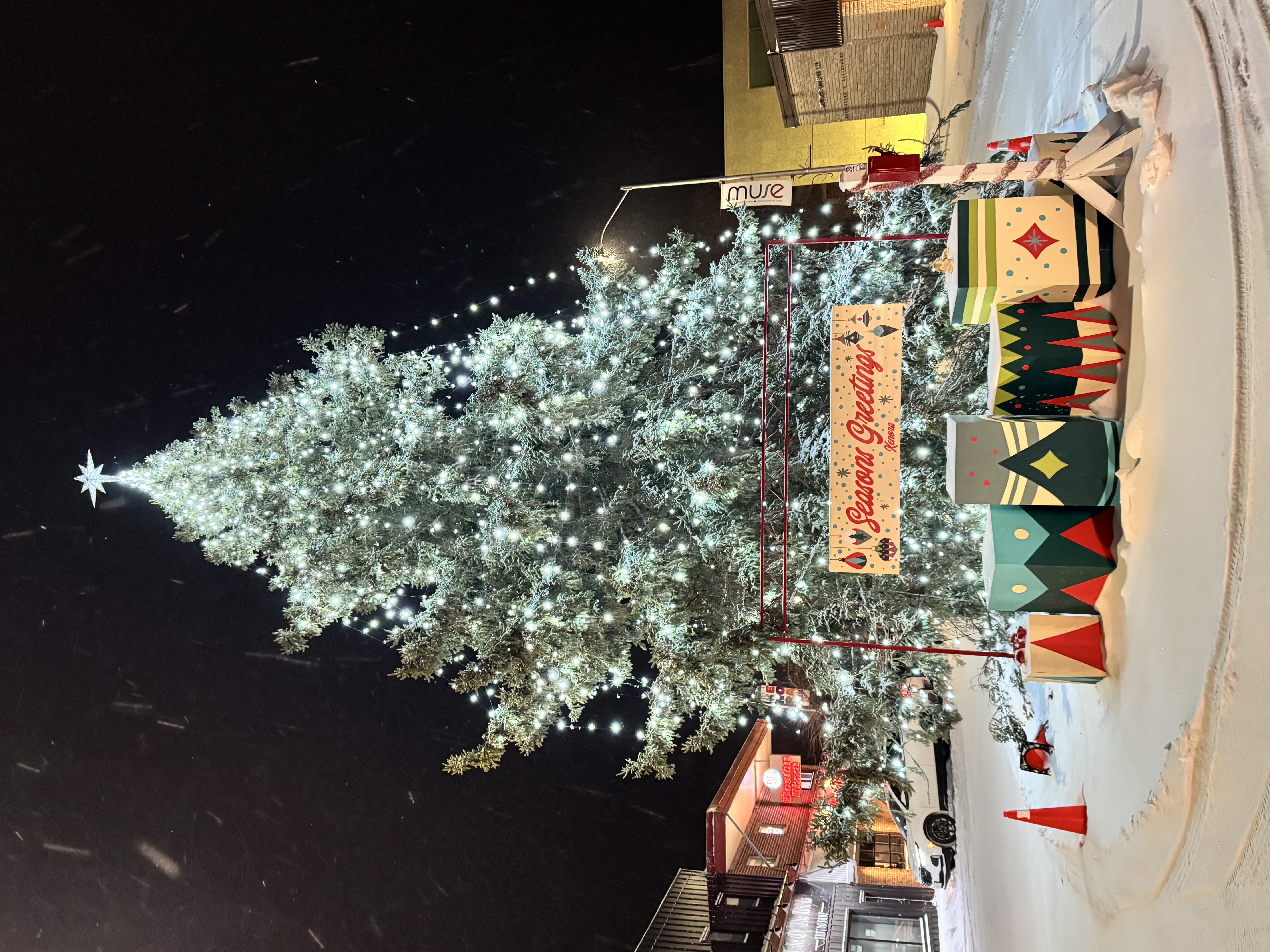 The 2025 Kenora Main St Christmas Tree.