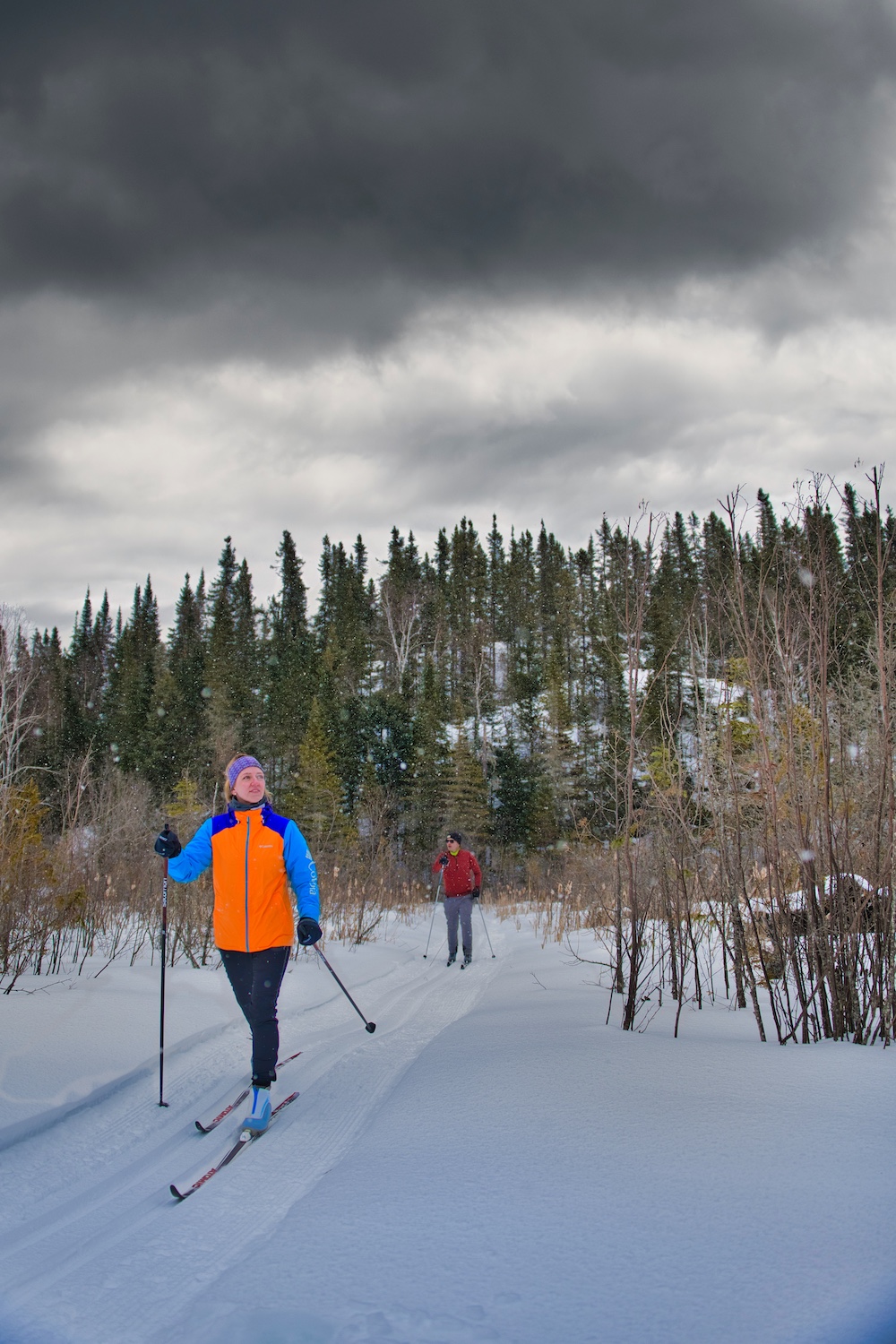 Two people cross country skiing in winter with tree-covered ridge in background
