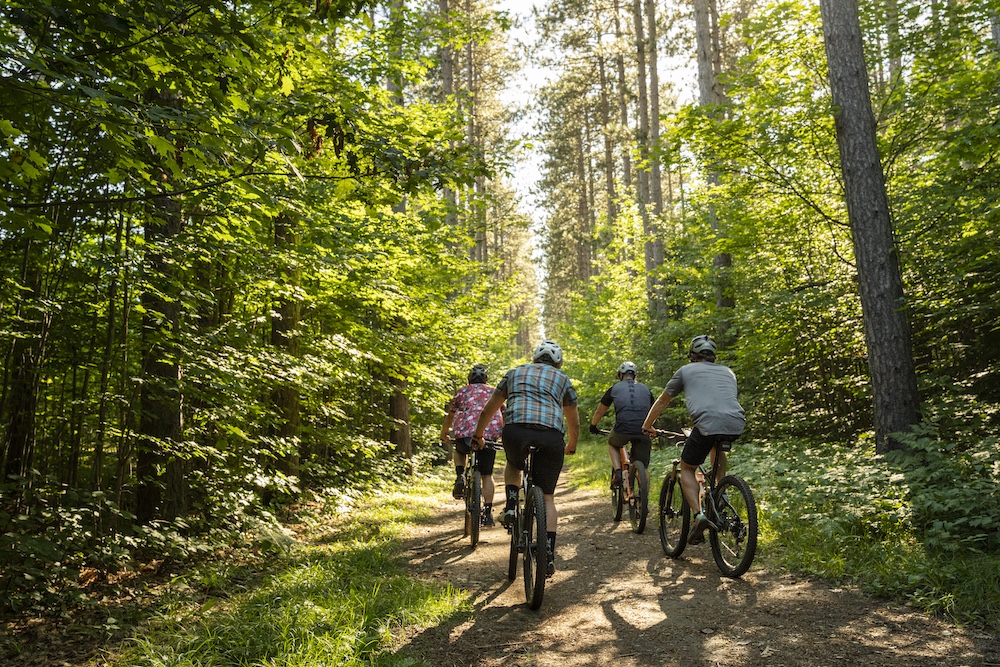 Four people mountain biking on a dirt path in the woods