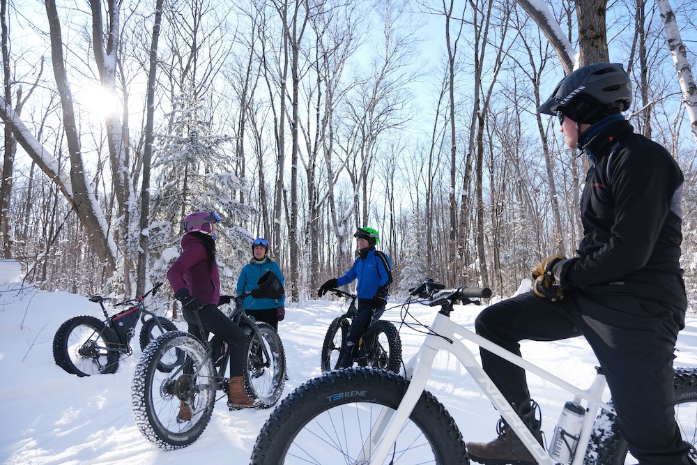 Four people on fat bikes in forest in the winter