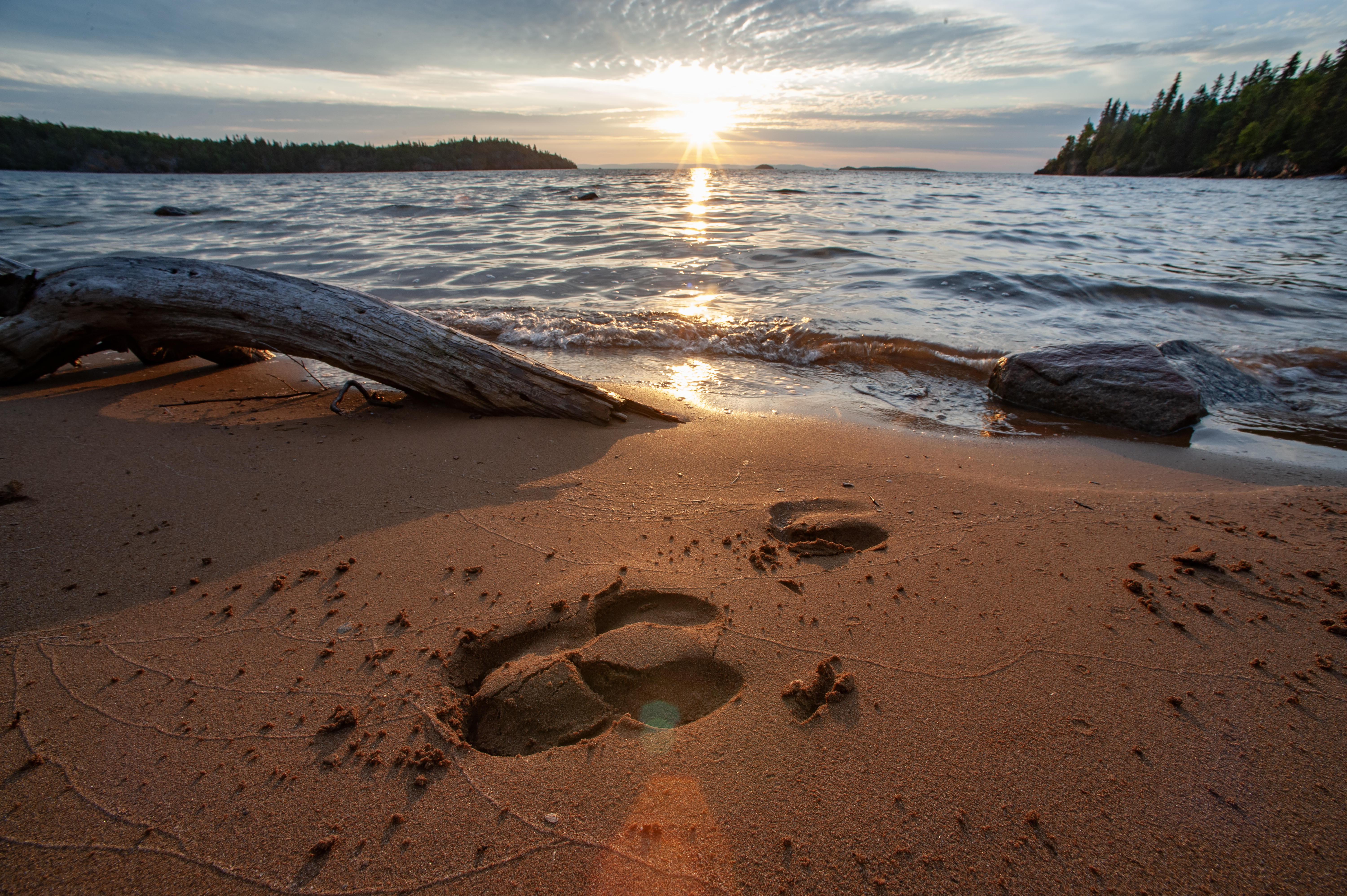 Caribou footprints in the sand next to the lake
