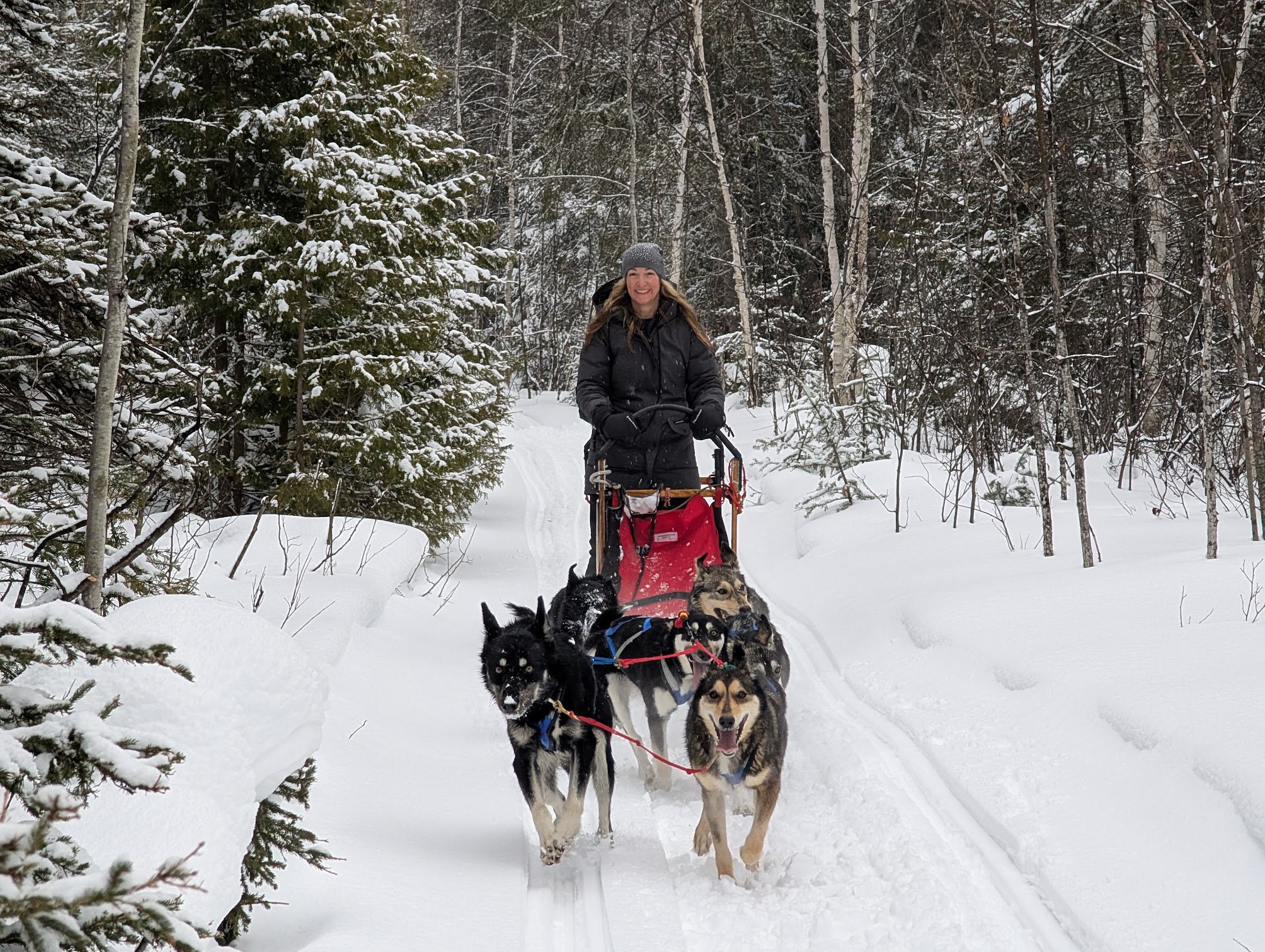 the author smiles broadly as she rides on a sled behind the Abitibi Sled Dog team down a snowy forest trail. 