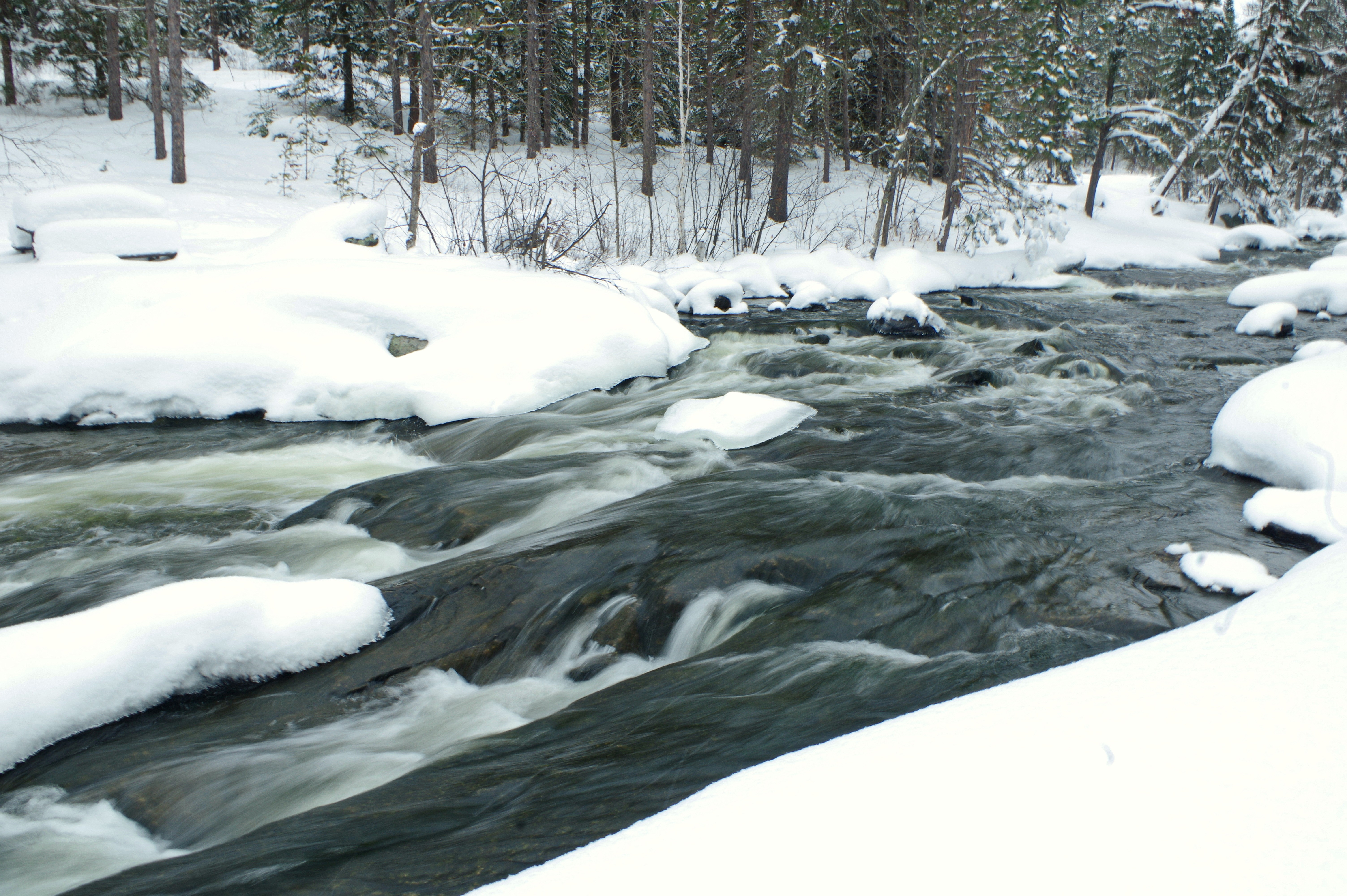 Fresh snow at Rushing River.