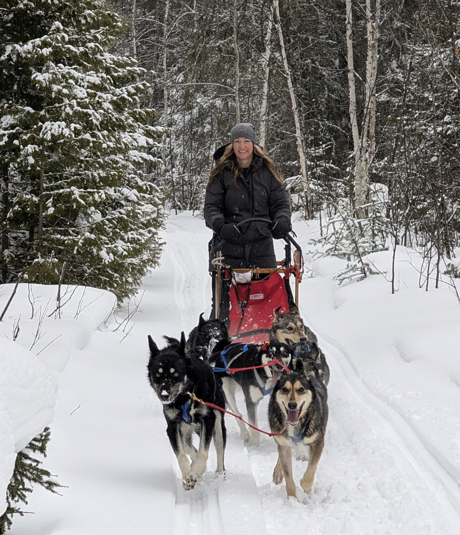 Abitibi Sled Dogs