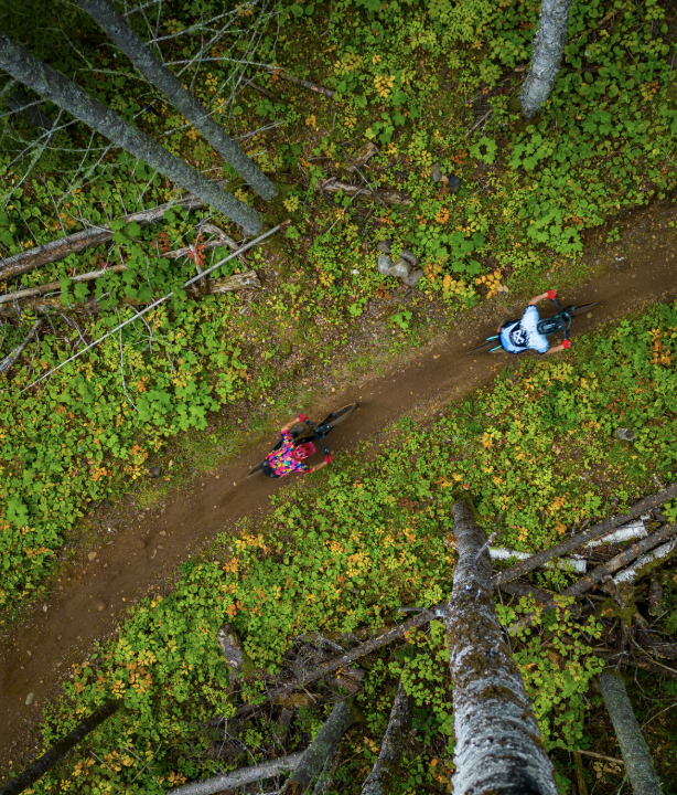 Trowbridge Forest Mountain Biking
