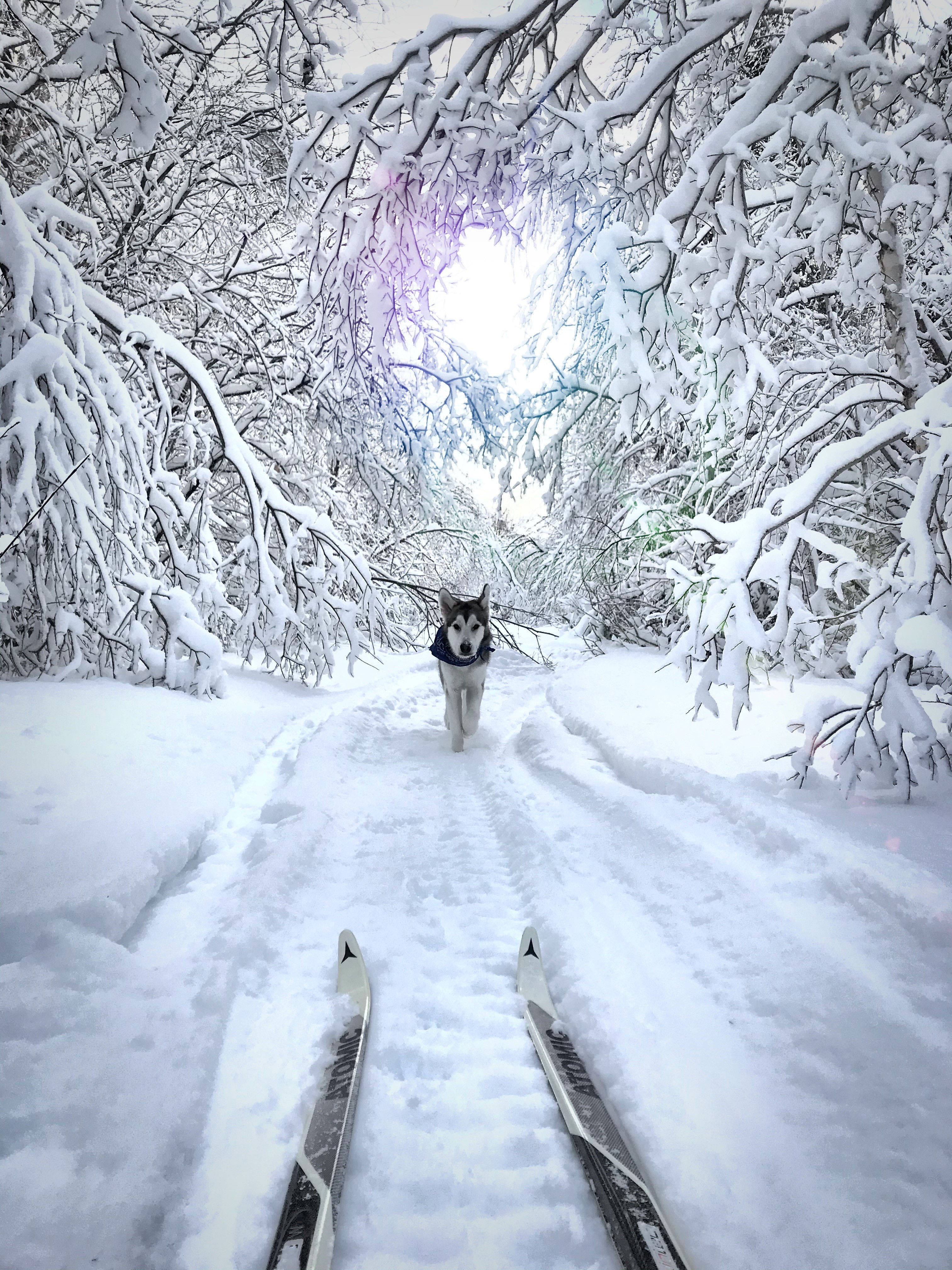 Country Cross Country Skiing