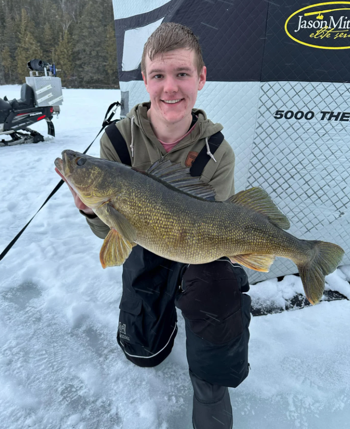 Big Eagle Lake walleye caught through the ice.