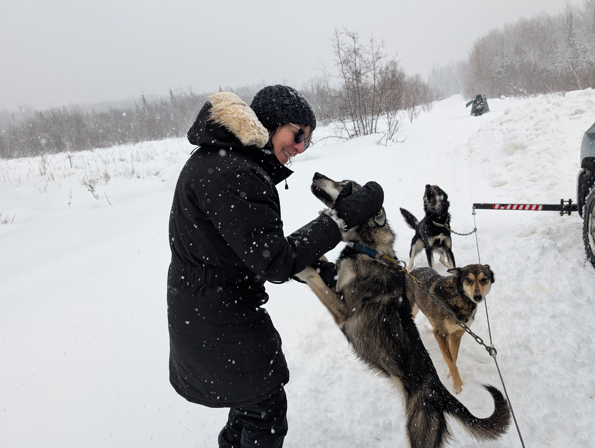 a rider smiles and talks to one of the Abitibi Sled Dogs huskies and scratches it behind the ears as it jumps up happily to sniff her face.