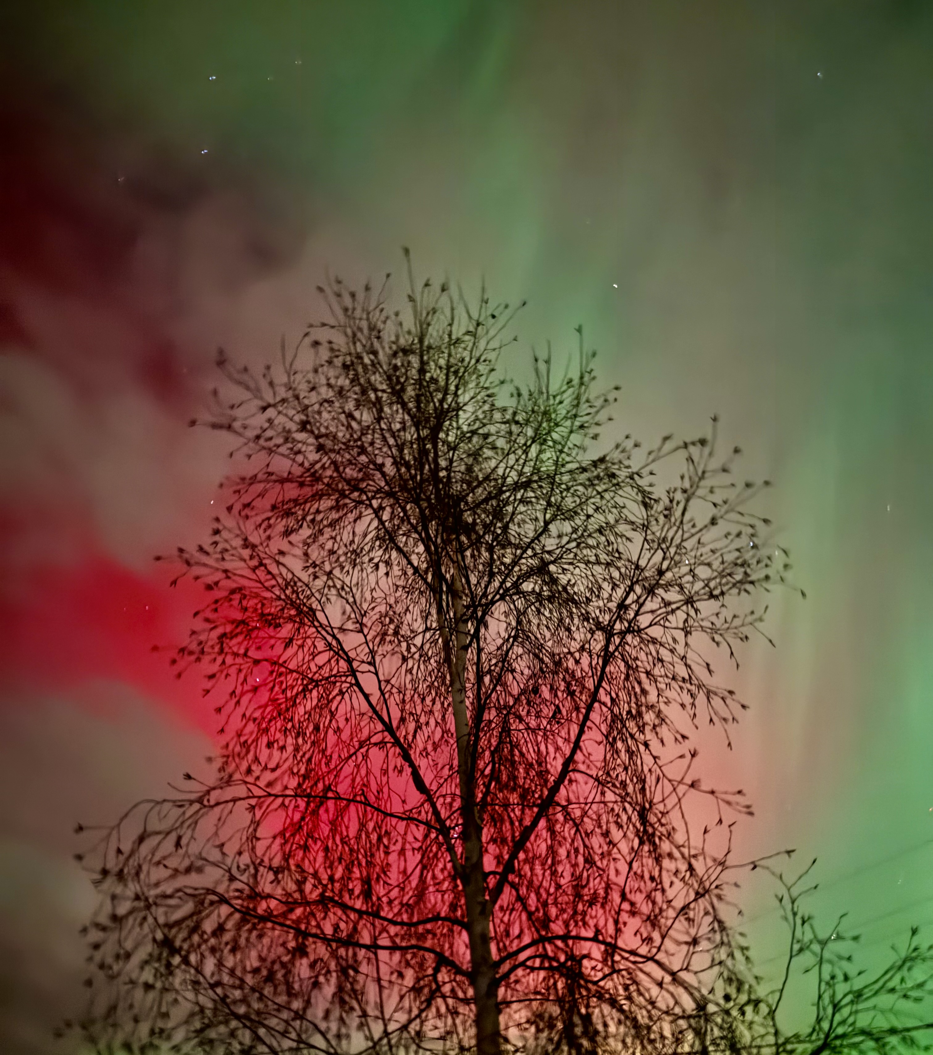 It is rare to see deep reds like this in the northern lights.
