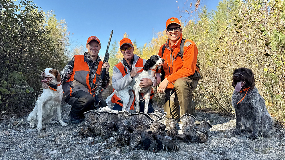 Dogs and Group and Grouse