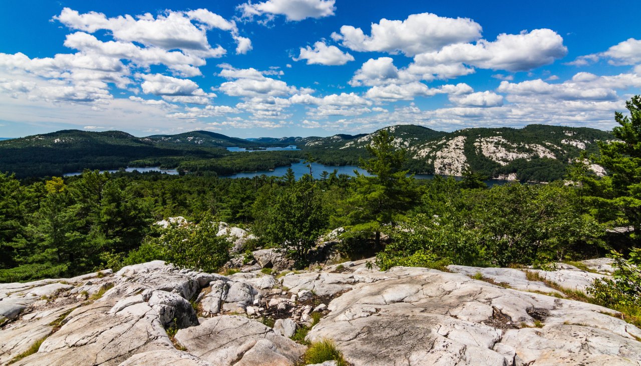 la cloche mountains
