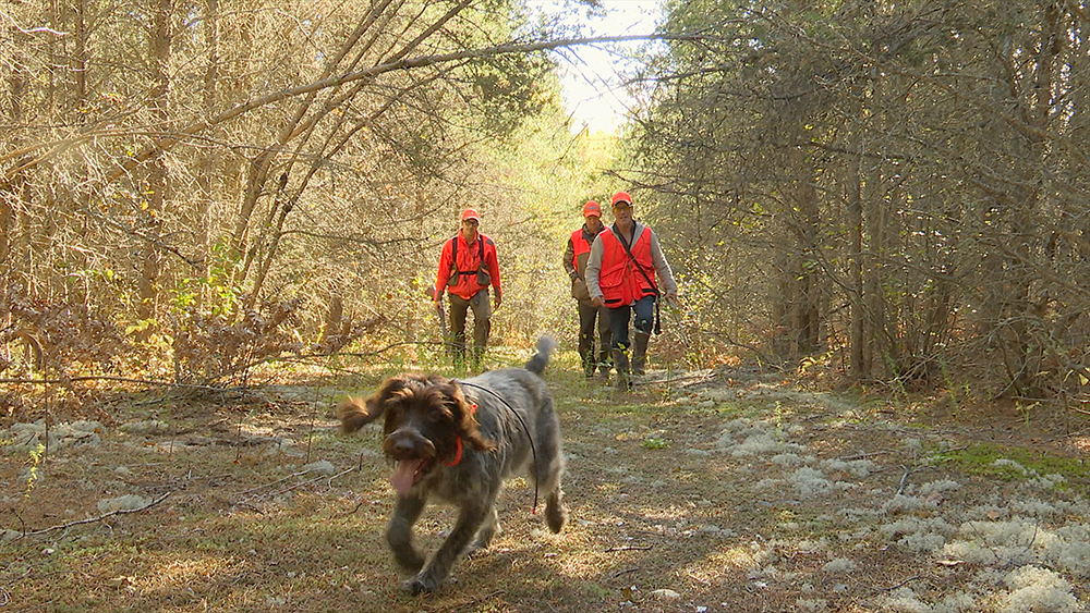 Eric and Dogs Walking