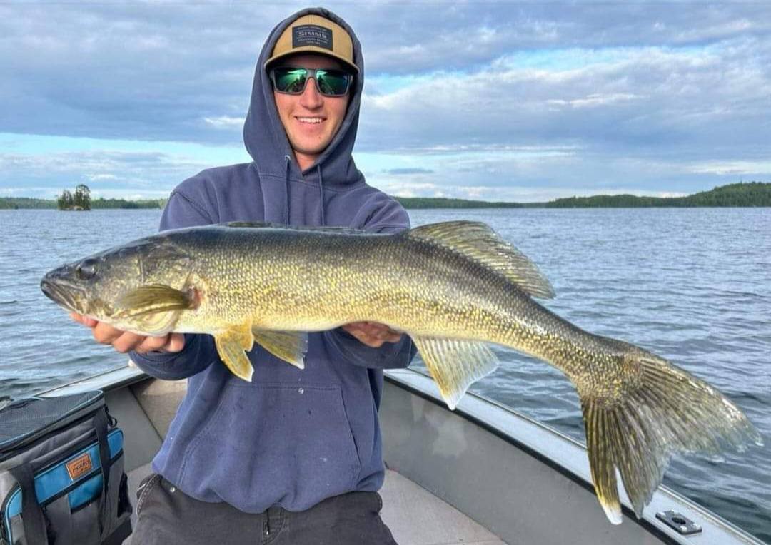 Big Cedar Lake walleye caught by a guest of Cedar Lake Lodge.