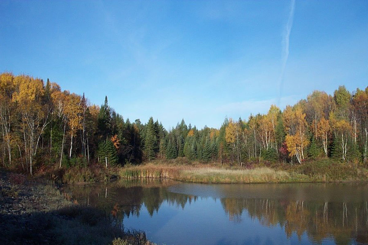 Fort Creek Conservation Area, forest with lake